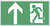 Exit sign 15 x 30 cm Photoluminescent